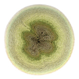 Scheepjes Mega Whirl (3000m)