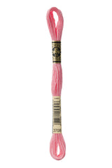 Cotton Six Stranded Embroidery Floss | DMC