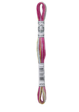 Cotton Coloris Embroidery Thread | DMC