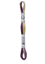 Cotton Coloris Embroidery Thread | DMC