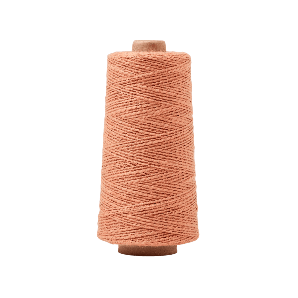 GIST Yarn Mallo Cotton Slub Weaving Yarn Spice
