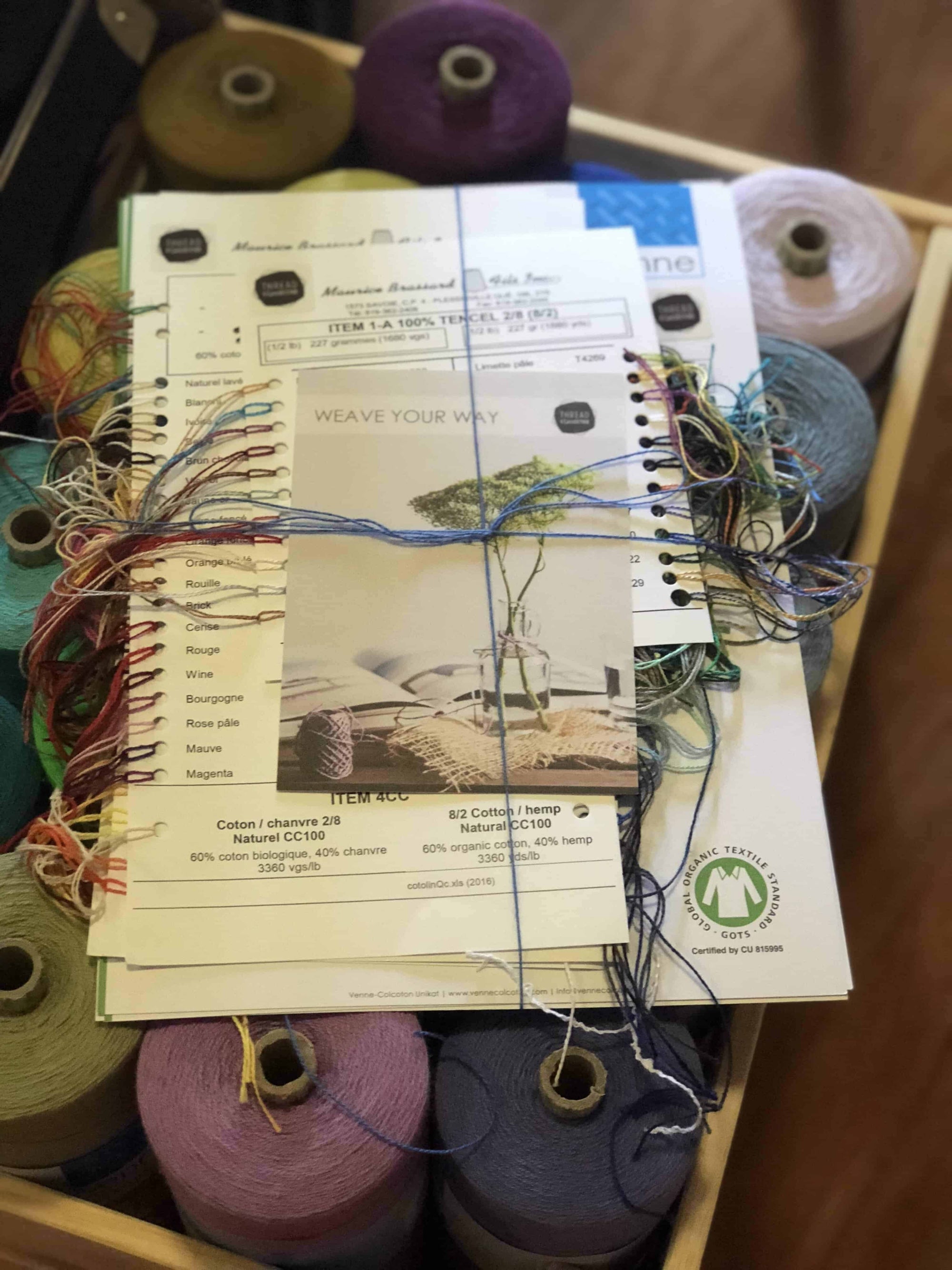 Maurice Brassard Tencel Weaving Yarn Sample Colour Card - Thread Collective Australia