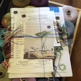 Cottolin Sample Colour Cards - Maurice Brassard - Thread Collective Australia