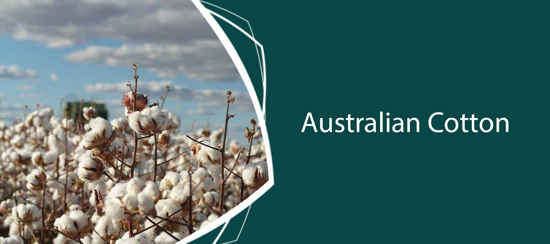 Australian Cotton