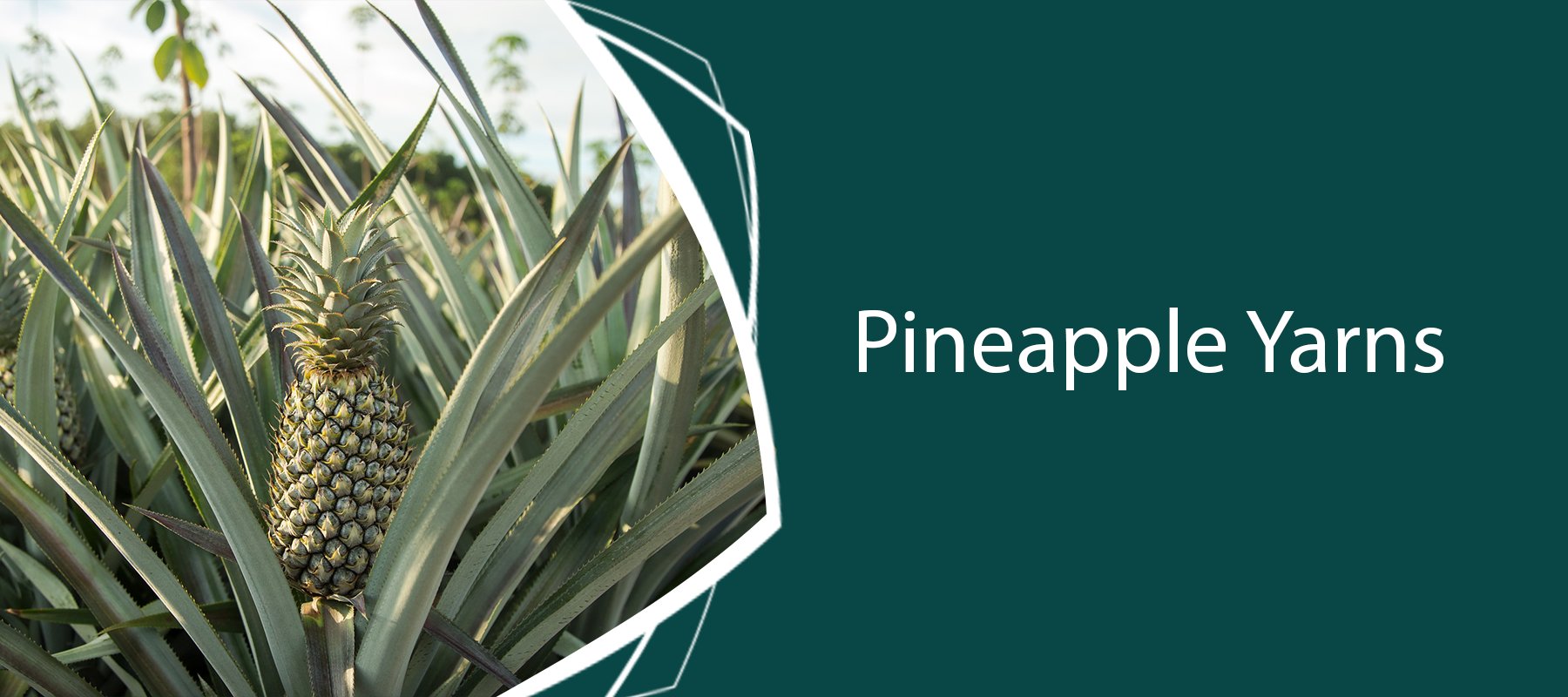 Pineapple Yarns Australia 