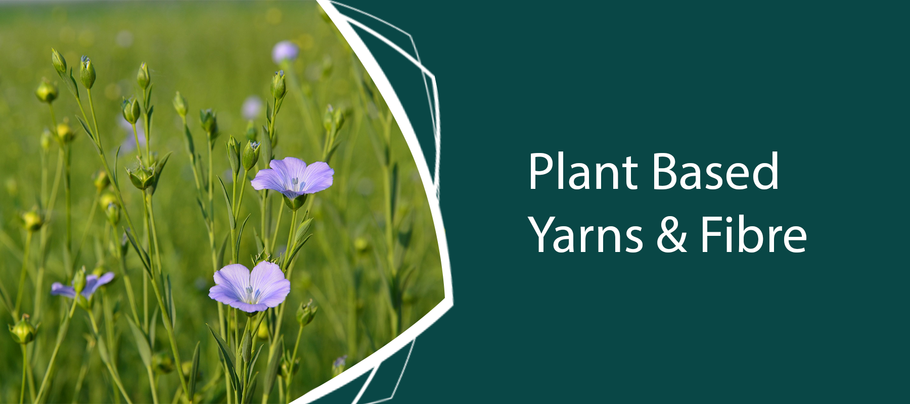 Plant Based Yarns & Fibre 