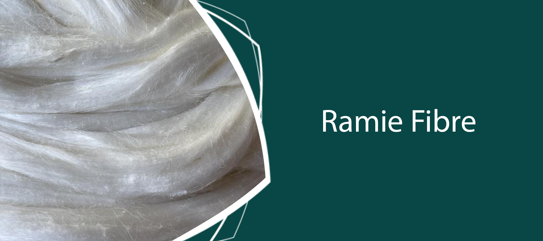 Ramie Fibre Australia: Spinning, Felting and Papermaking