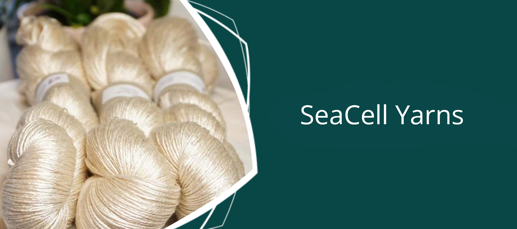 SeaCell™ Yarns Australia: Weaving & Knitting Yarns - Thread Collective Australia 