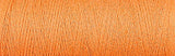 Burnt Orange Organic Cottolin - Nel 22/2 (Ne 8/2) | Venne - 100g