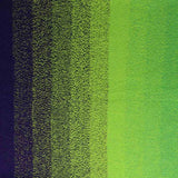 Scheepjes Cotton Whirl