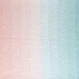 Scheepjes Cotton Whirl