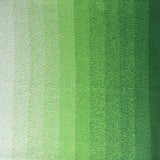 Scheepjes Cotton Whirl