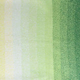 Scheepjes Cotton Whirl