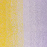 Scheepjes Cotton Whirl