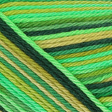 Scheepjes | Catona Chroma