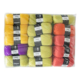 Scheepjes CAL2025 Kit - Colour Crafter