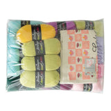 Scheepjes CAL2025 Kit - Colour Crafter