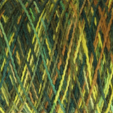 Ashford Caterpillar Cotton Yarn - 200g