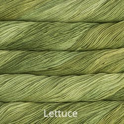 Lettuce Malabrigo Sock Merino Yarn - Thread Collective Australia