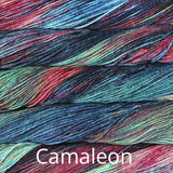 camaleon malabrigo rios - Thread Collective Australia