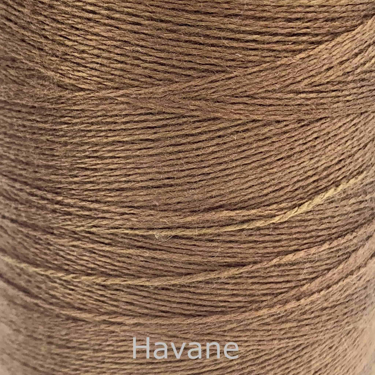 Sustainable Natural Tencel Weaving Yarn