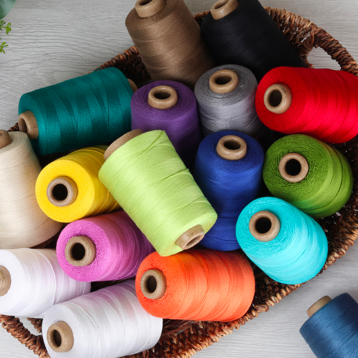 Ashford Mercerised Cotton Yarn Ne 10/2 200g with new colours - Thread Collective Australia