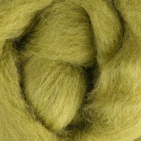 Bean Sprout Ashford Dyed Corriedale Sliver - 100g