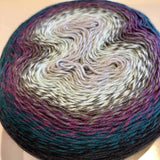 Scheepjes Whirl Knitting Yarn - Blackcurrant Squeeze Me 773