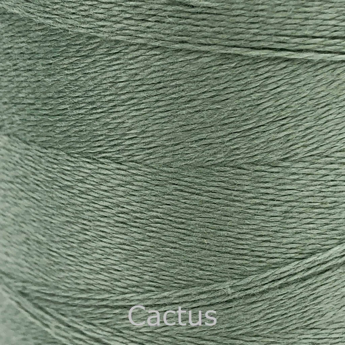 Maurice Brassard Bamboo/Cotton Ne 16/2 CACTUS - Thread Collective Australia
